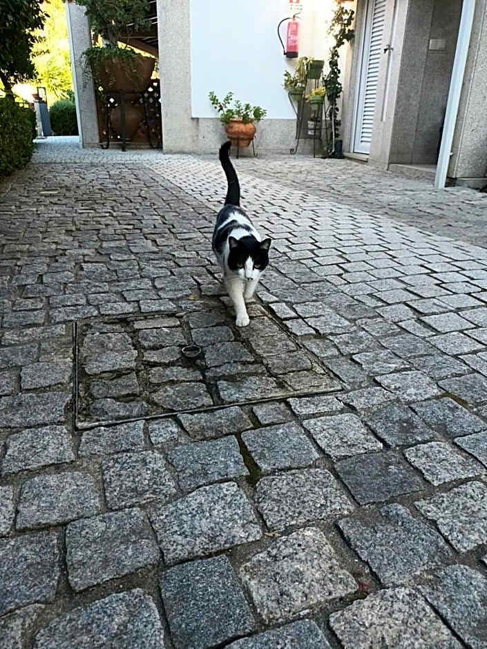 Casa de São Domingos