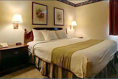Standard Accessible King Bed