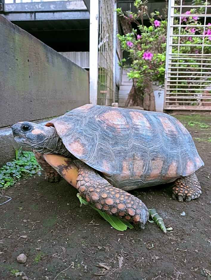 Hotel Pondok Asri Tawangmangu