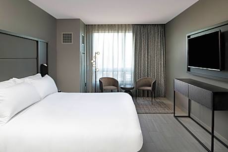1 Bedroom Executive Suite, 1 King
