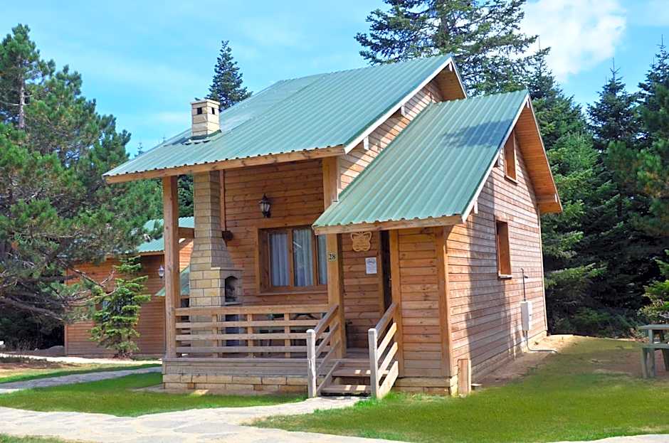 Uludag Orman Koskleri