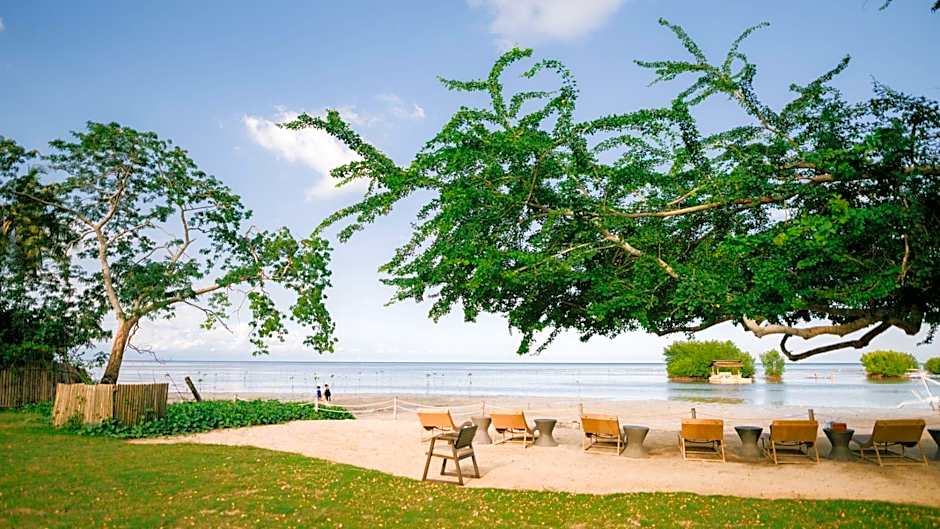 The Funny Lion - Puerto Princesa