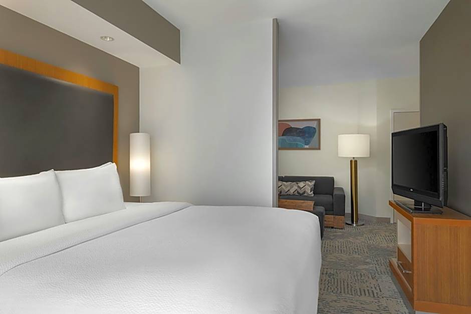 SpringHill Suites by Marriott Winston-Salem Hanes Mall