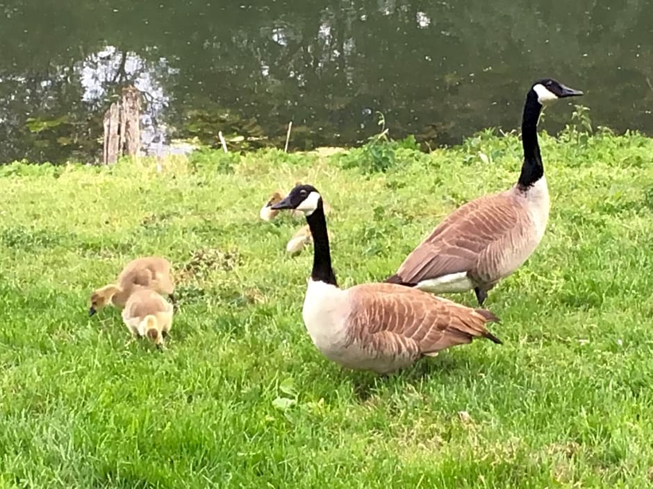 En Bord de Seine