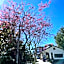 Julie's Garden, Cingjing - Fon Chin Homestay