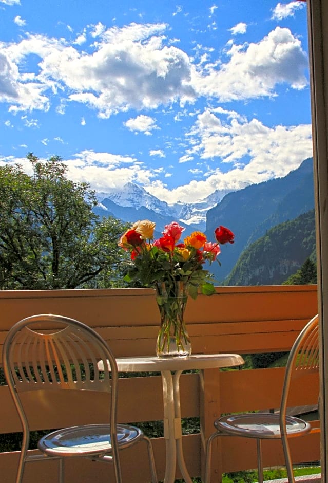 Hotel Berghof Amaranth