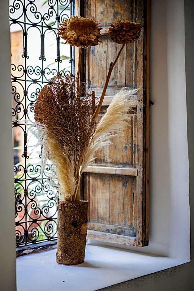 Riad Alkemia en exclusivité