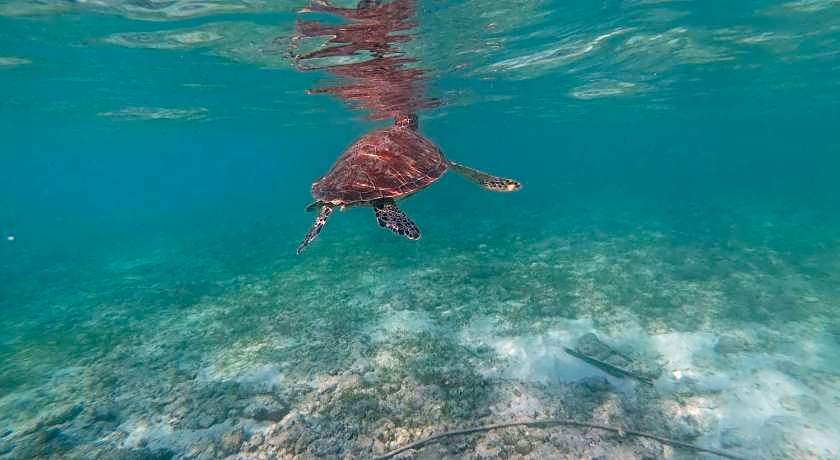 West Coast Beach House