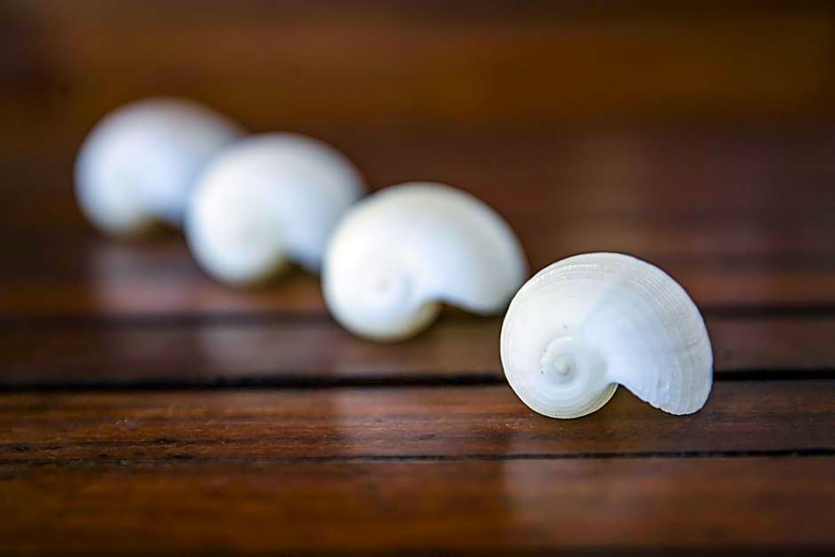 Hotel La Casa Cielo solo adultos