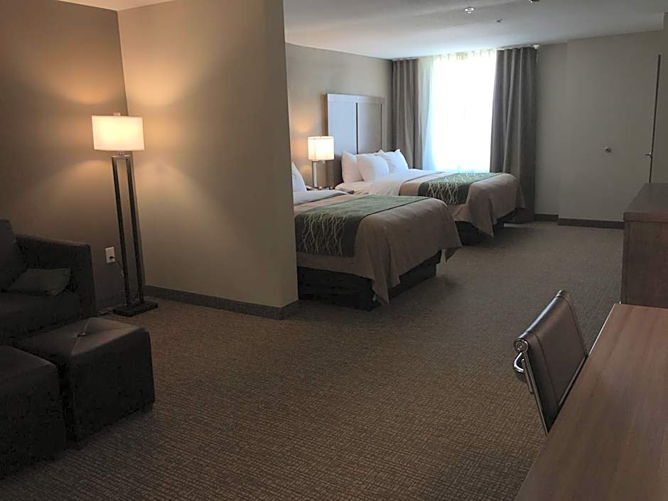 Comfort Inn & Suites Snyder