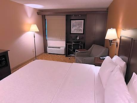King Room with King Bed - Non-Smoking