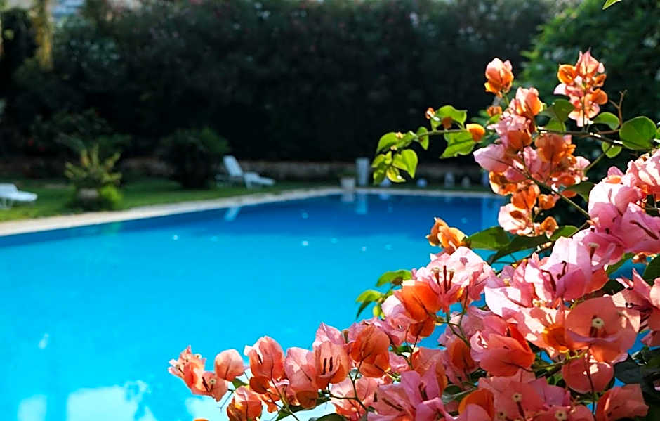 Villa Megna - Green Paradise B&B