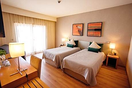 Deluxe Twin Room with Terrace