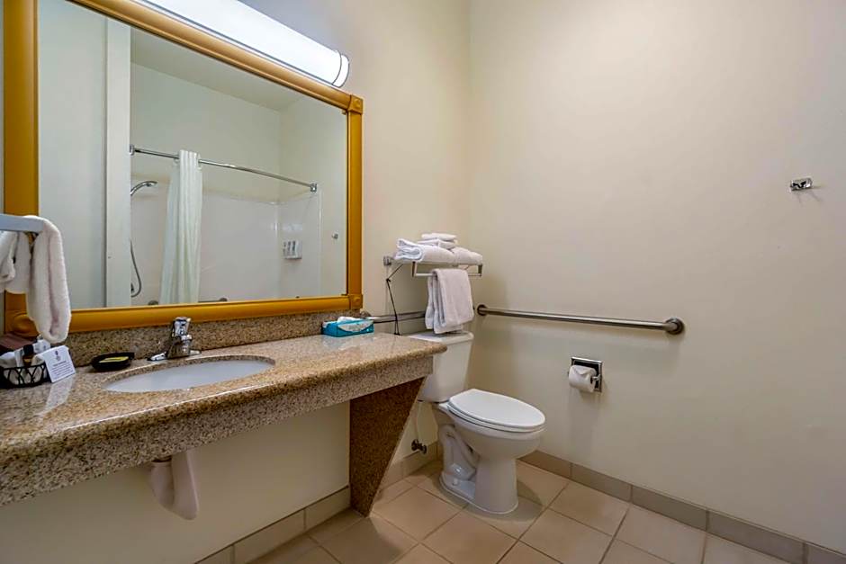 Best Western Plus Grapevine Inn