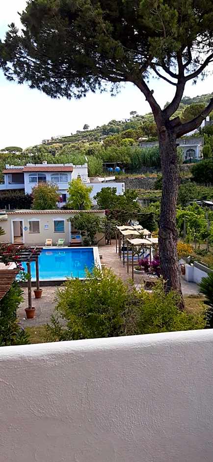 Villa Olivia Residence Ischia - nel Verde con Piscine e Vista Mare