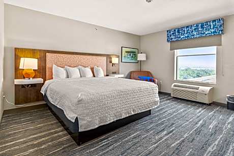 1 King Bed W/Sofabed Nonsmoking