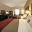 Comfort Inn Mount Airy