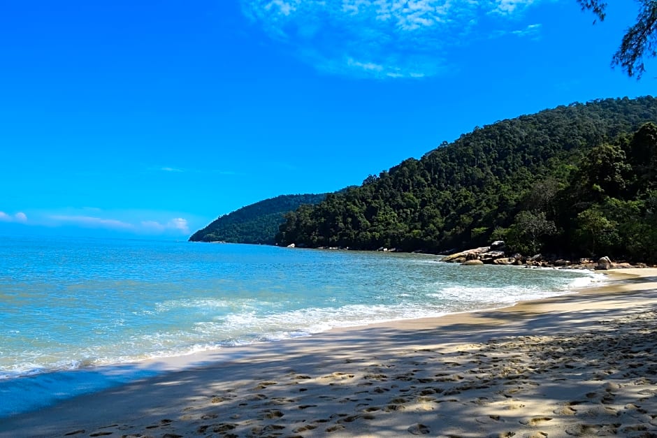 Eco Capsule Resort – Teluk Bahang, NY