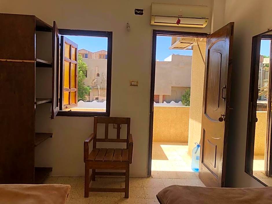 Oasis Fighting Kangaroo