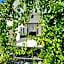 GOOD VIBE garden house Sattahip