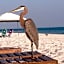 Gulf Shores Plantation