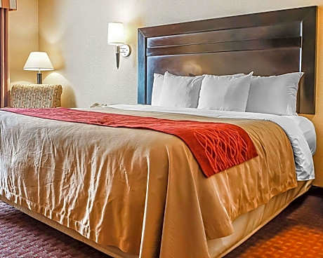 1 King Bed, Nonsmoking