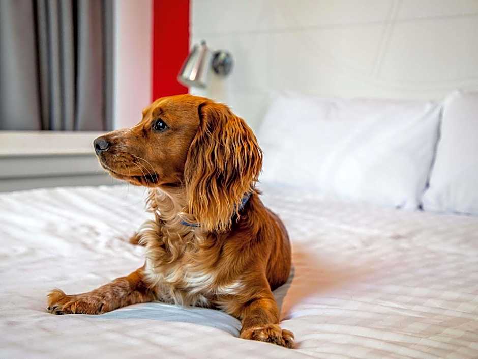 ibis Styles Glasgow Centre West