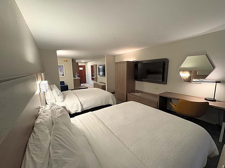 Holiday Inn Express Hotel & Suites Lafayette By IHG