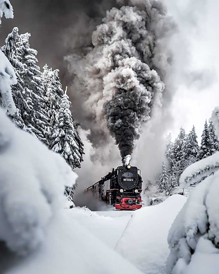Harz Hotel Vogelberg