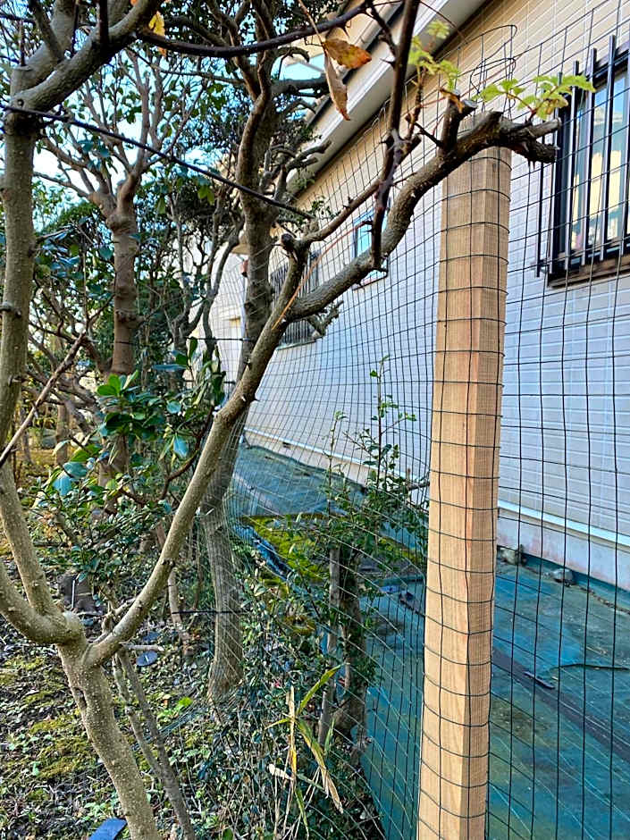 湘南ソラル〜二宮の高台・アートな庭付き日本家屋121㎡／高速WiFi／芝生ドッグラン・ピザ窯BBQ有