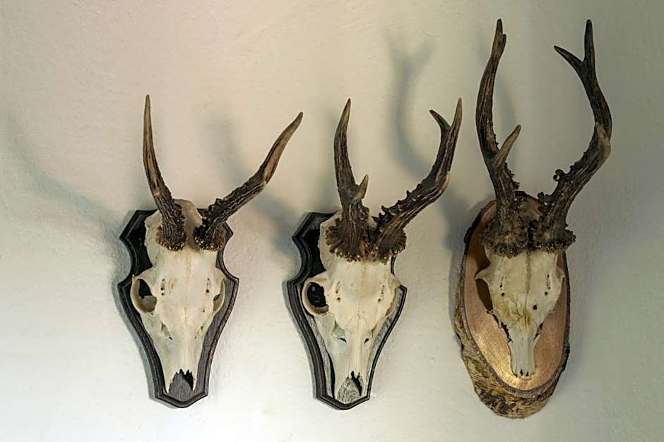 Hotel Restaurant Häsfeld