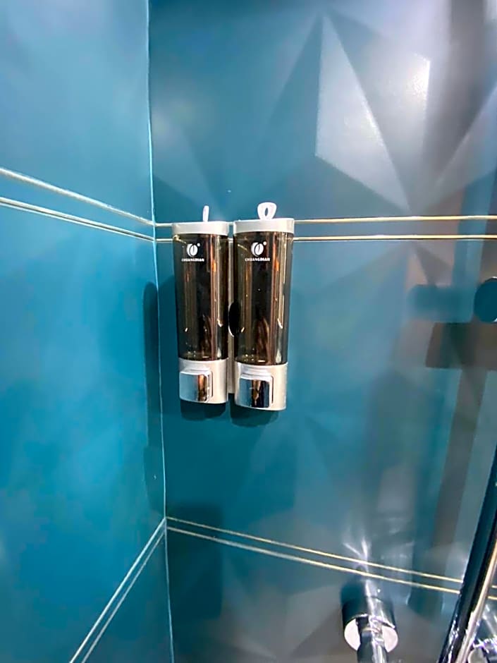 Beautiful mini Loft near Saint-Lazare