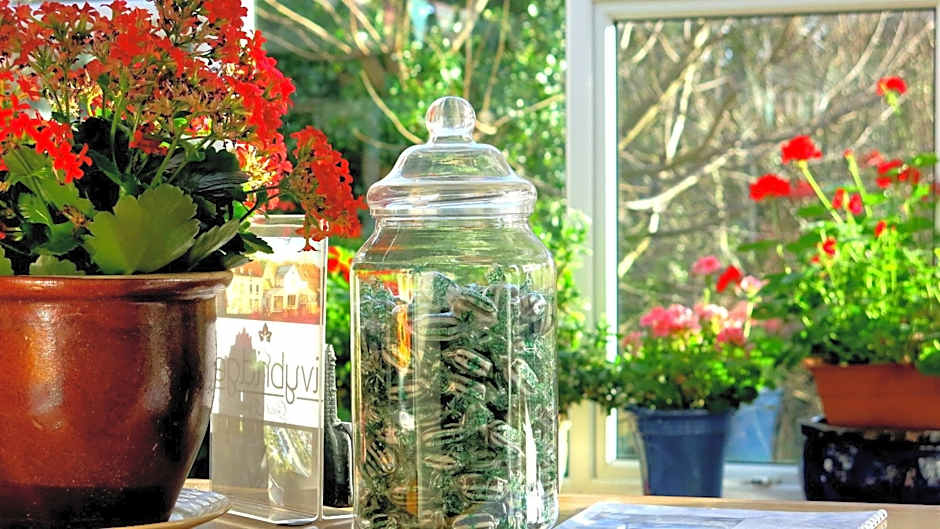 Ivybridge Guesthouse