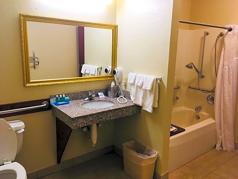 Holiday Inn Express Hotel & Suites Cadillac By IHG