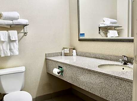 King Studio with Sofa Bed