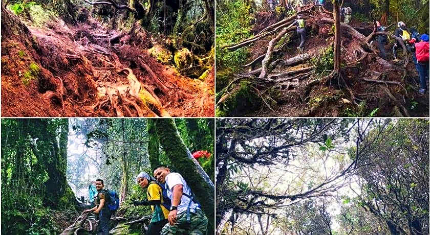 The Cocoon Capsule Hotel