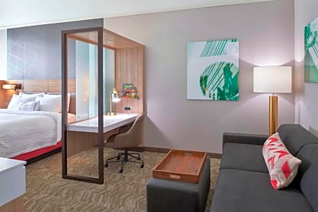 SpringHill Suites by Marriott East Lansing University Area, Lansing Area