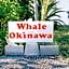 Whale Okinawa