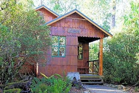 Forest View Two-Bedroom Cabin