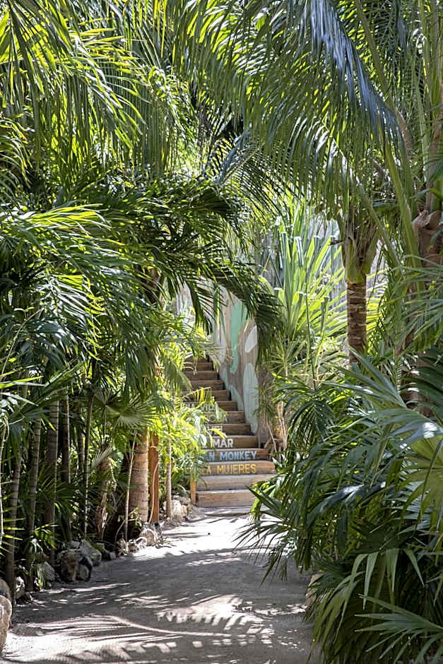 Mayan Monkey Isla Mujeres - Social Hotel