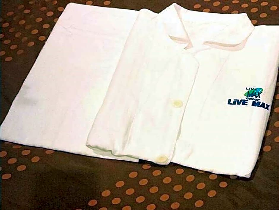 Hotel Livemax Toyosu-Ekimae