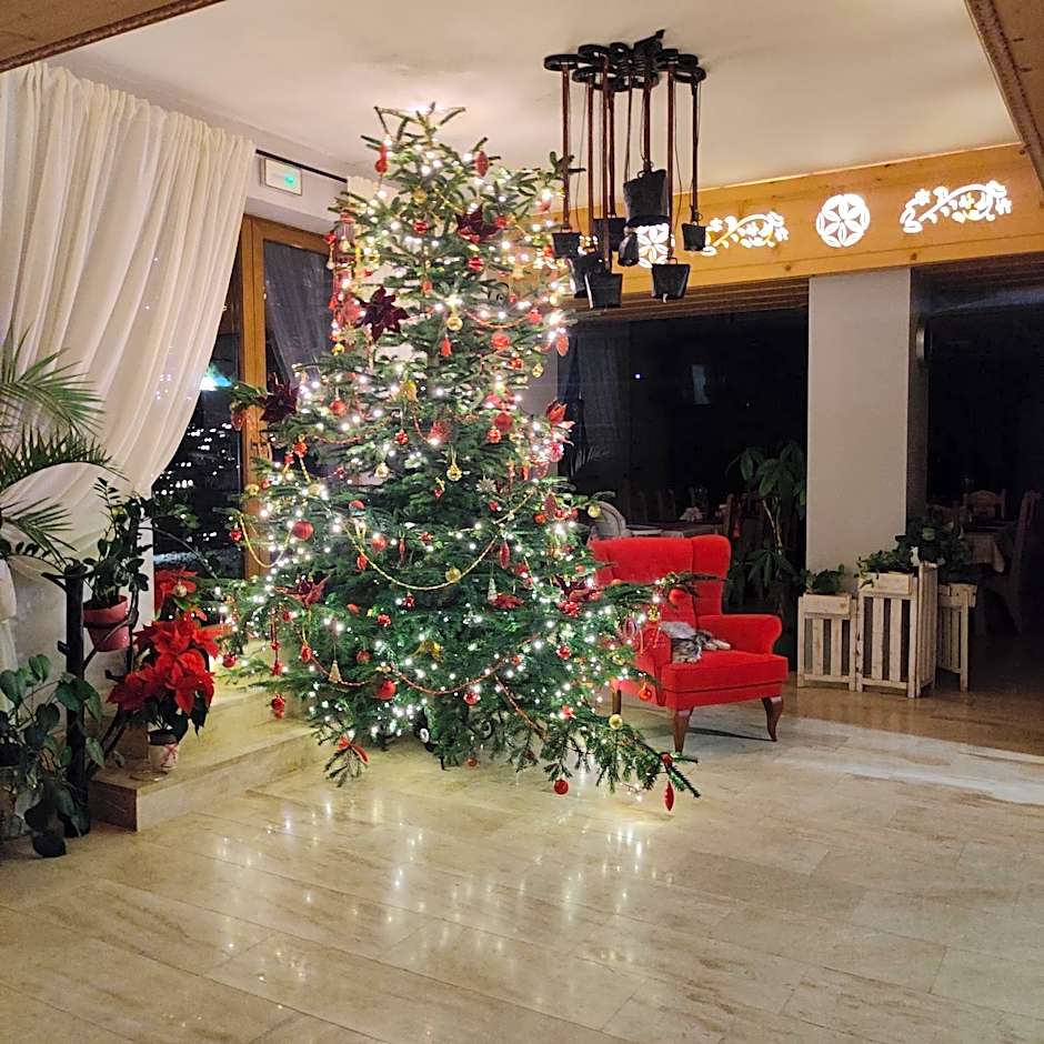 ECO Willa Karpatia Ski&Wellness