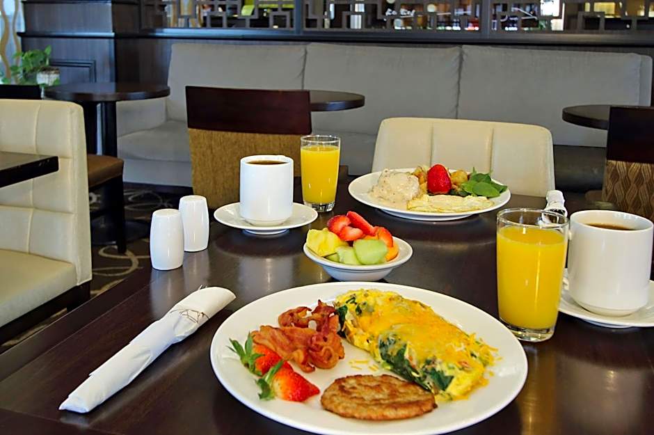 Hilton Garden Inn Austin Nw/Arboretum