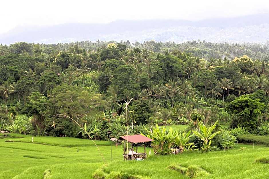 Jungle House - surf & stay