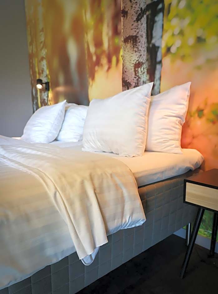 Park Hotel Liminka