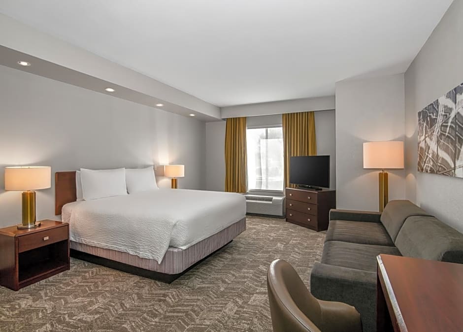 SpringHill Suites by Marriott Phoenix Glendale Sports & Entertainment District