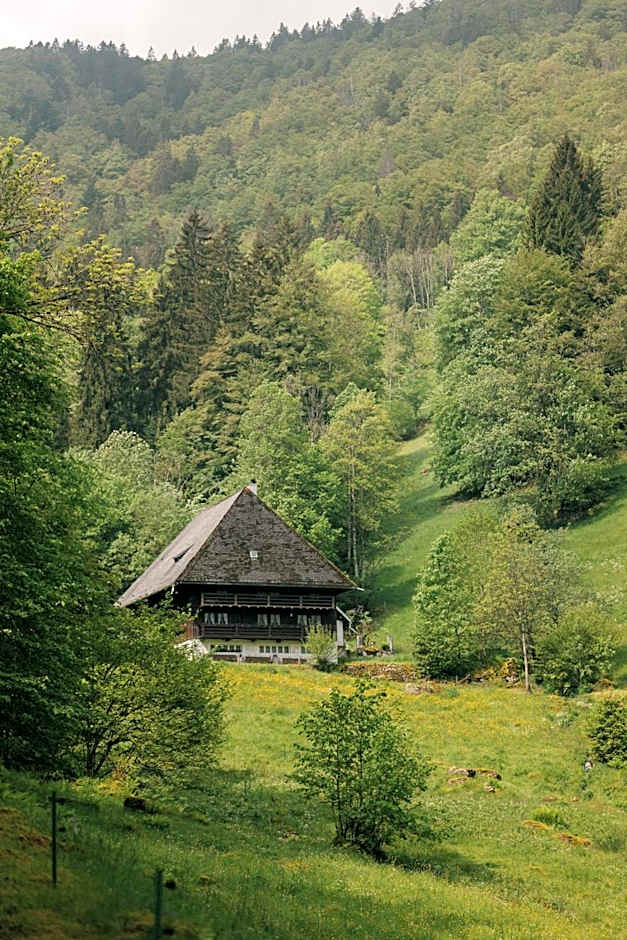 Der Hirschen