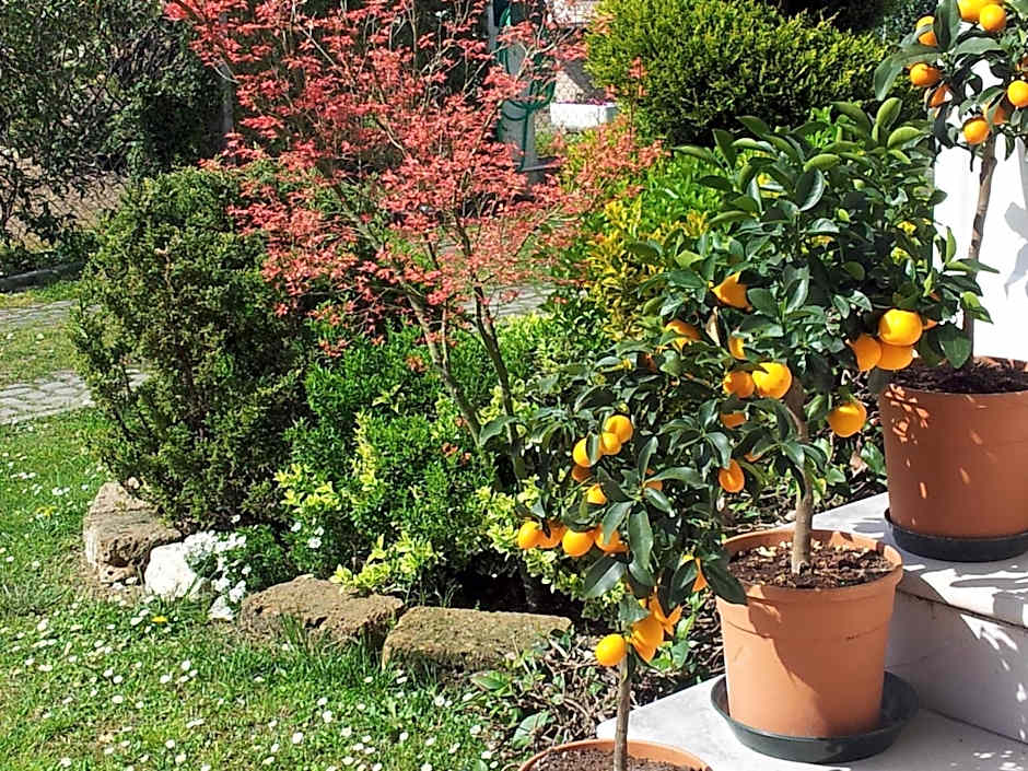 Dear Venice Bed & Breakfast