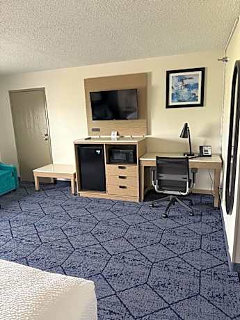 Deluxe King Room - Non-Smoking