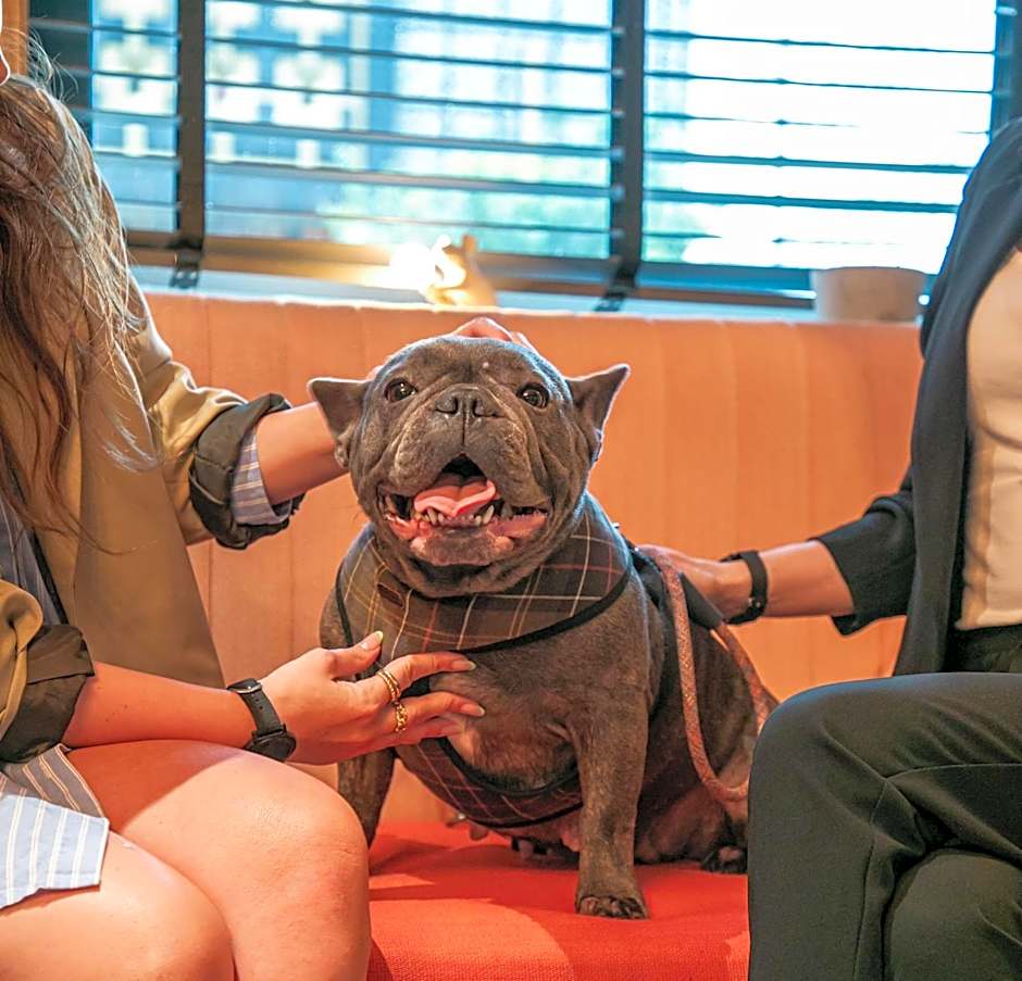 The Corner London City